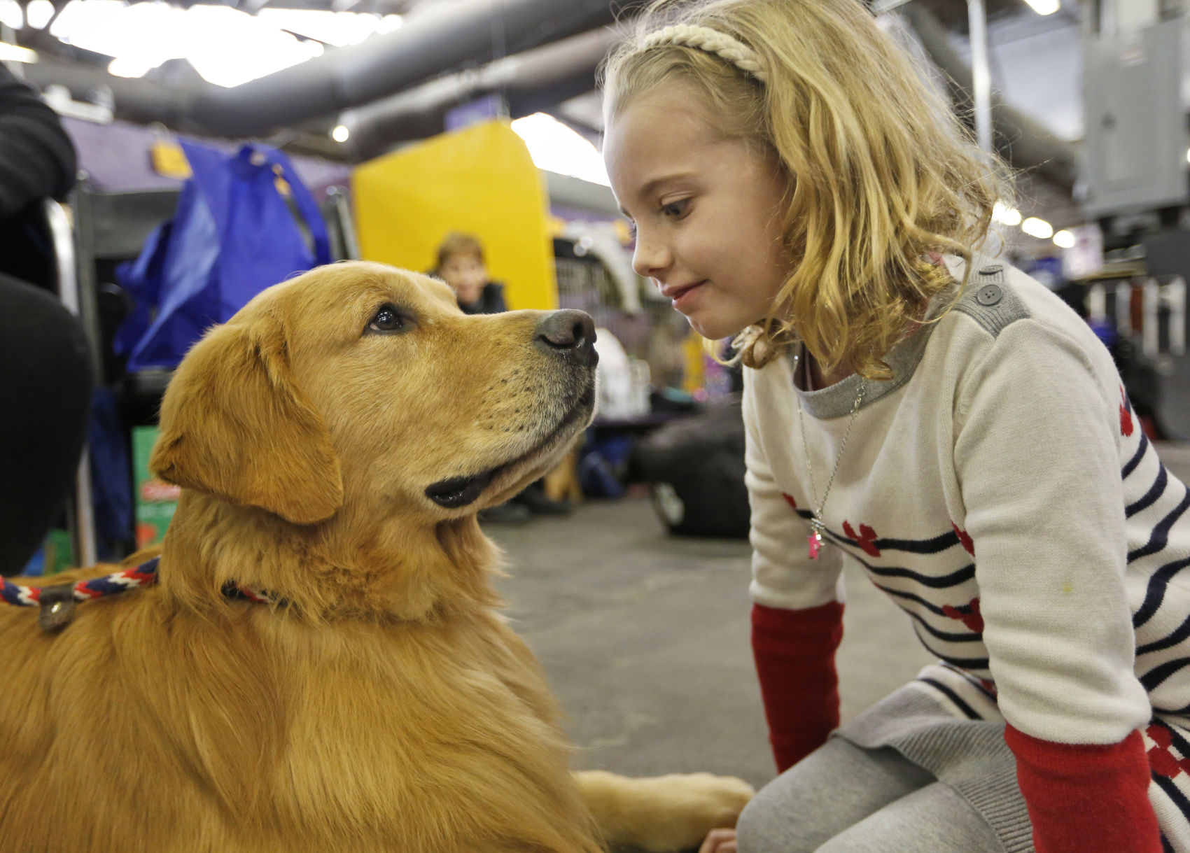 Westminster Dog Show